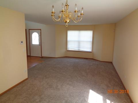 25620 S Daffodil Ln, Monee, IL 60449 photo 6