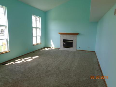 25620 S Daffodil Ln, Monee, IL 60449 photo 3