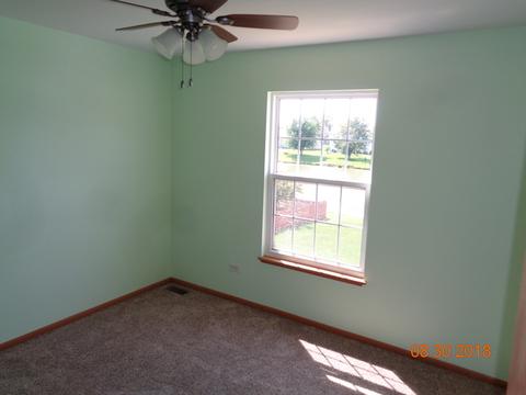 25620 S Daffodil Ln, Monee, IL 60449 photo 11