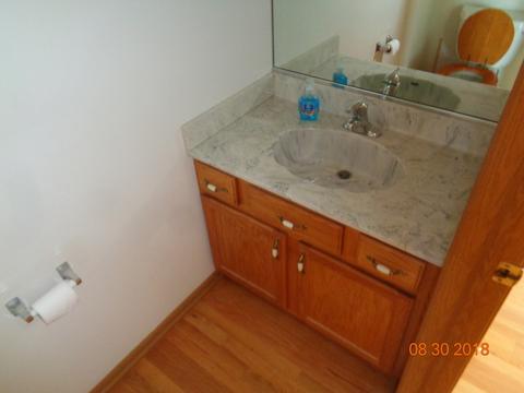 25620 S Daffodil Ln, Monee, IL 60449 photo 9