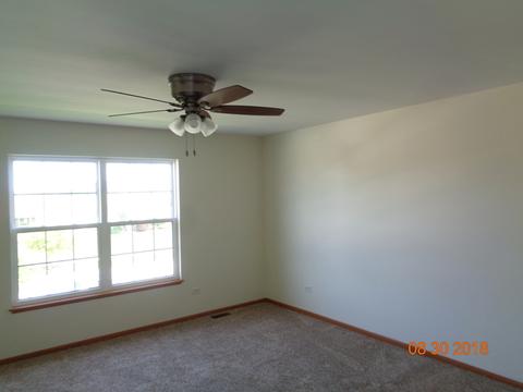 25620 S Daffodil Ln, Monee, IL 60449 photo 13