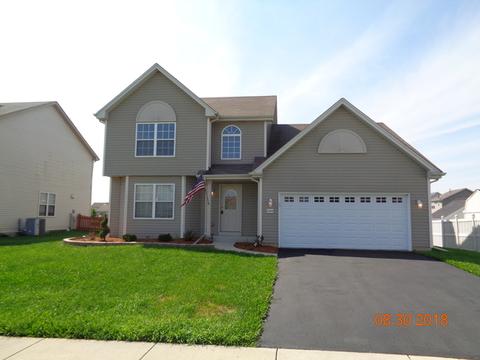 25620 S Daffodil Ln, Monee, IL 60449 photo 1