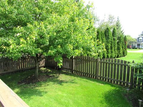 1349 Sebring Cir, Elgin, IL 60120 photo 19