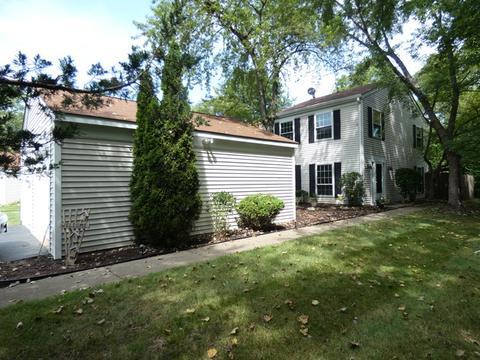 46 Silver Tree Cir, Cary, IL 60013 photo 1