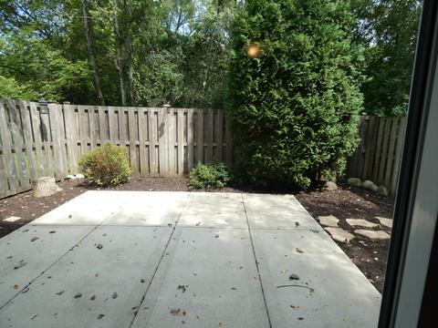 46 Silver Tree Cir, Cary, IL 60013 photo 15