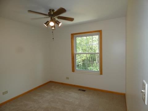 46 Silver Tree Cir, Cary, IL 60013 photo 13