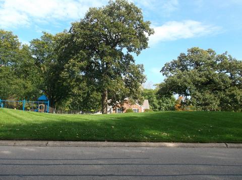 46 Silver Tree Cir, Cary, IL 60013 photo 19