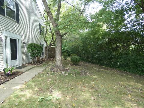 46 Silver Tree Cir, Cary, IL 60013 photo 18