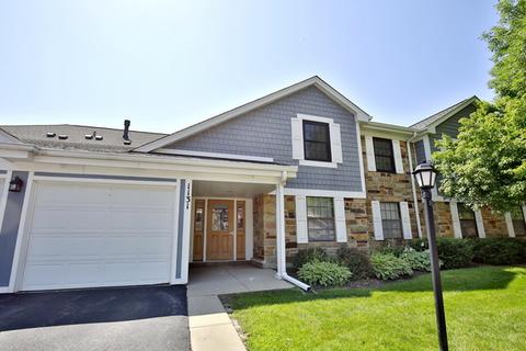 1131 Wildberry Ct #B2, Wheeling, IL 60090 photo 1