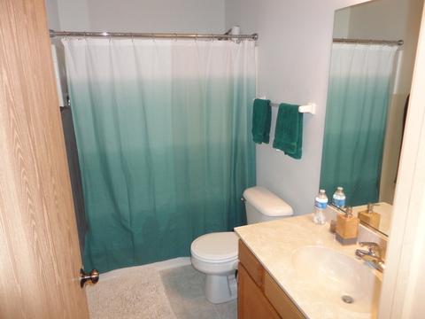 726 Deames St, Plano, IL 60545 photo 30