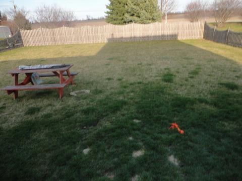 726 Deames St, Plano, IL 60545 photo 4