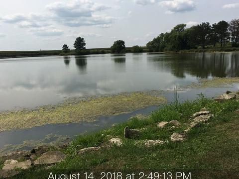 192 N Arseneau Rd, Kankakee, IL 60901 photo 5