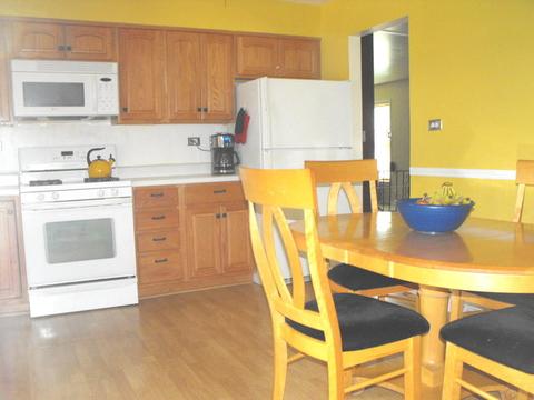 167 S Maple Ave, Hillside, IL 60162 photo 16