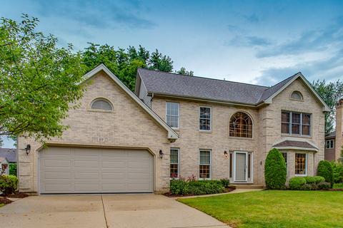 217 John Dr, Bartlett, IL 60103 photo 40