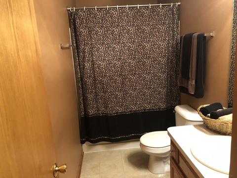 7012 Bitterroot Dr, Plainfield, IL 60586 photo 16