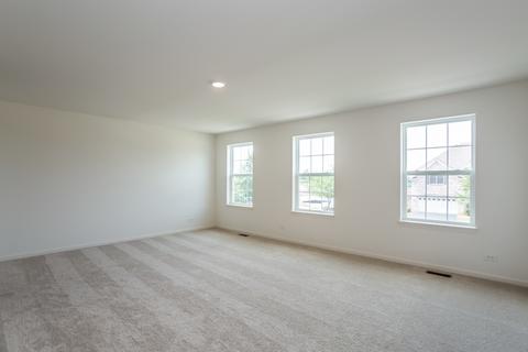 13407 Summergrove Dr, Plainfield, IL 60585 photo 8