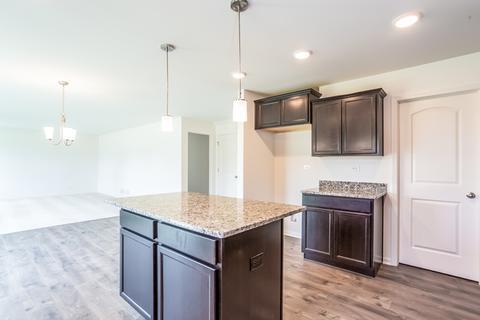 13407 Summergrove Dr, Plainfield, IL 60585 photo 4
