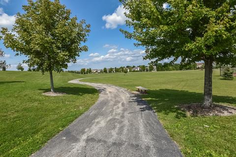13407 Summergrove Dr, Plainfield, IL 60585 photo 47