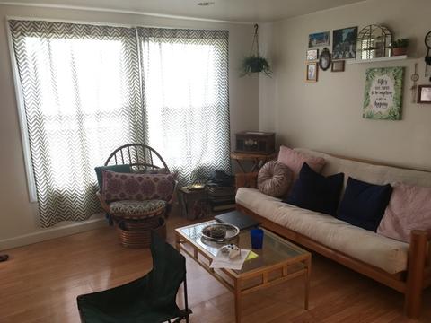 149 Grace Ave, Steger, IL 60475 photo 5