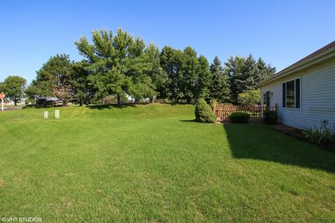 13608 S Redbud Dr, Plainfield, IL 60544 photo 10