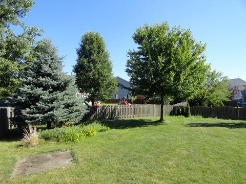 813 Grant Dr, Minooka, IL 60447 photo 26