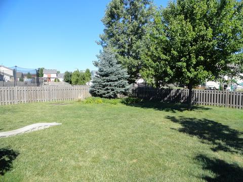 813 Grant Dr, Minooka, IL 60447 photo 25