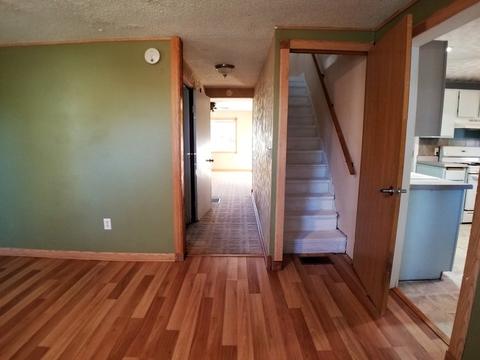 301 E 2nd St, Leaf River, IL 61047 photo 14
