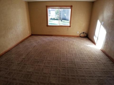 301 E 2nd St, Leaf River, IL 61047 photo 16