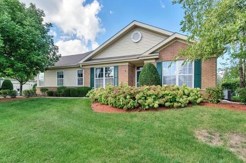 21102 W Braxton Ln, Plainfield, IL 60544 photo 1