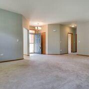 21102 W Braxton Ln, Plainfield, IL 60544 photo 5