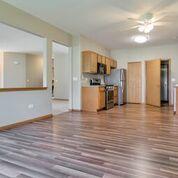 21102 W Braxton Ln, Plainfield, IL 60544 photo 12