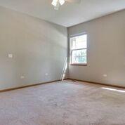 21102 W Braxton Ln, Plainfield, IL 60544 photo 16
