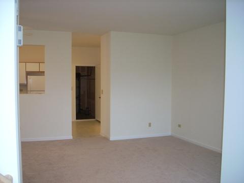 2205 Dalewood Ct, Plainfield, IL 60586 photo 5
