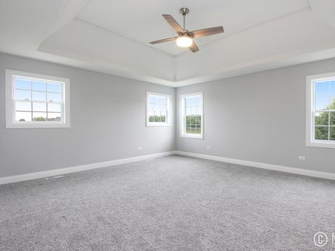 16539 Mueller Cir, Plainfield, IL 60586 photo 29