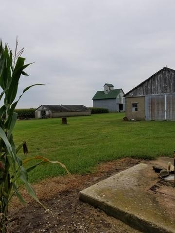 849 Couinty Road 2100 E, Sidney, IL 61877 photo 3