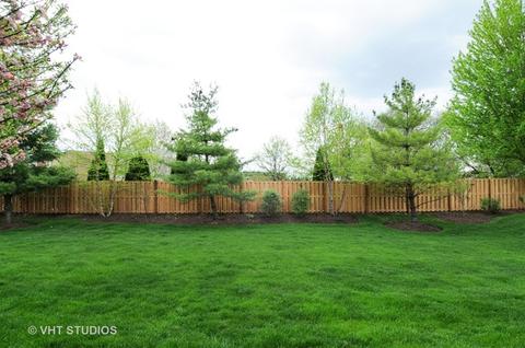 912 Case St, Naperville, IL 60563 photo 25