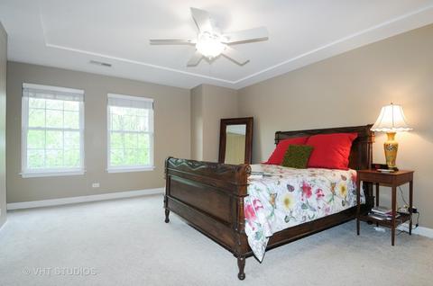 912 Case St, Naperville, IL 60563 photo 11