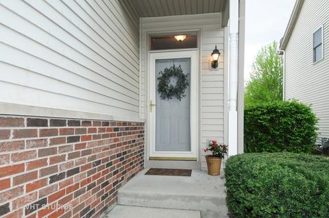 912 Case St, Naperville, IL 60563 photo 23