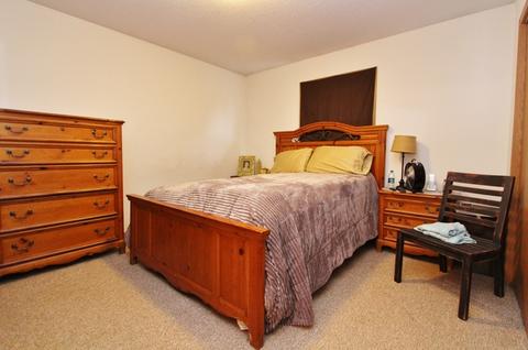1595 Schubert Dr, Morris, IL 60450 photo 10