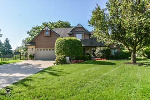 219 Brian Ct, Manhattan, IL 60442 photo 1