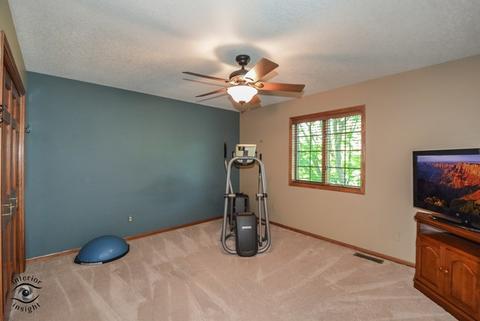 219 Brian Ct, Manhattan, IL 60442 photo 21