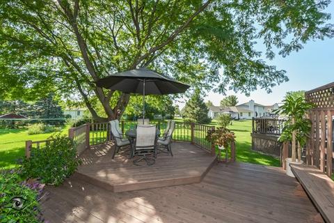 219 Brian Ct, Manhattan, IL 60442 photo 8