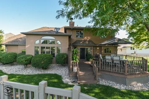 219 Brian Ct, Manhattan, IL 60442 photo 7