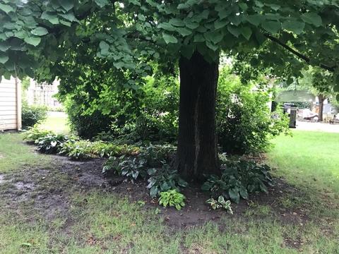 30 E Thompson St, Princeton, IL 61356 photo 22