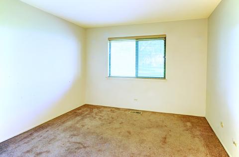 584 Williamsburg Ct #D1, Wheeling, IL 60090 photo 11
