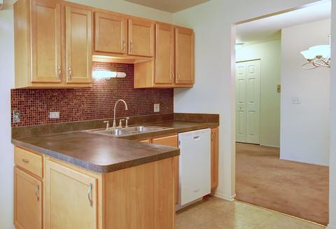 584 Williamsburg Ct #D1, Wheeling, IL 60090 photo 5
