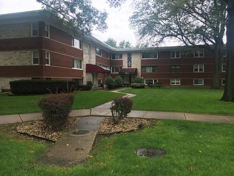 6864 W Lode Dr #3A, Worth, IL 60482 photo 1