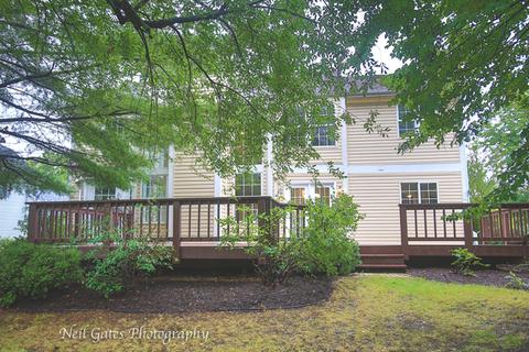 862 Brompton Cir, Bolingbrook, IL 60440 photo 50