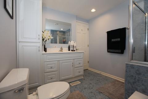 163 Dulles Rd, Des Plaines, IL 60016 photo 14