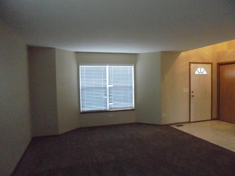 25631 S Daffodil Ln, Monee, IL 60449 photo 4